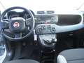 Fiat Panda Panda III 2021 1.0 firefly hybrid City Life s Gris - thumbnail 22