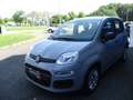 Fiat Panda Panda III 2021 1.0 firefly hybrid City Life s Grigio - thumbnail 2