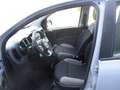 Fiat Panda Panda III 2021 1.0 firefly hybrid City Life s Gris - thumbnail 19