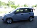 Fiat Panda Panda III 2021 1.0 firefly hybrid City Life s Grigio - thumbnail 13
