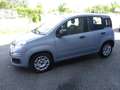 Fiat Panda Panda III 2021 1.0 firefly hybrid City Life s Grigio - thumbnail 12
