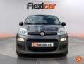 Fiat Panda Sport Hybrid 1.0 Gse 51kw (70CV) Gris - thumbnail 2