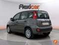 Fiat Panda Sport Hybrid 1.0 Gse 51kw (70CV) Gris - thumbnail 5