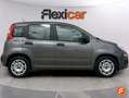 Fiat Panda Sport Hybrid 1.0 Gse 51kw (70CV) Gris - thumbnail 9