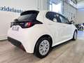 Toyota Yaris 1.5 Hybrid 5 porte Business Bianco - thumbnail 6