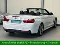 BMW 430 d Automatik|M-Sportpaket|Leder|HeadUp|Navi| Blanc - thumbnail 7