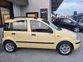 Fiat Panda Panda II 1.2 dualogic Or - thumbnail 5