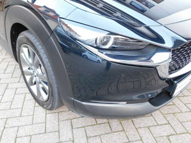 Mazda CX-30 SKY-G180 Selection Design-P./Bose/BSM/Kamera/MRCC