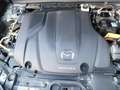 Mazda CX-30 SKY-G180 Selection Design-P./Bose/BSM/Kamera/MRCC Schwarz - thumbnail 12