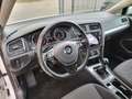 Volkswagen Golf Golf  7.5  AUTOCARRO N 1 Bianco - thumbnail 9