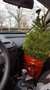 smart roadster 82 pk Softouch soft-top cabrio Rot - thumbnail 23