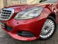 Mercedes-Benz E 350 BlueTec 4Matic Speedtronic/Navi/Park A /Standheiz. Rot - thumbnail 5