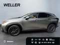 Lexus NX 350h Executive Line *LED*Leder*360°*HUD*Memory* Argent - thumbnail 4