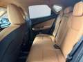 Lexus NX 350h Executive Line *LED*Leder*360°*HUD*Memory* Argent - thumbnail 14