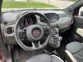 Fiat 500 1.2 51kw Sport -neopatentati- Rosso - thumbnail 6