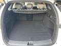 BYD Seal 6 6 DM-i Touring Boost Weiß - thumbnail 7