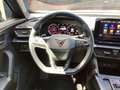 CUPRA Formentor 2.0 TDI 4Drive AHK/ACC/LED/Navi/uvm. Grau - thumbnail 12
