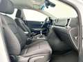 Kia Sportage 1.6 GDi Drive 4x2 Weiß - thumbnail 39
