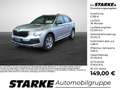 Skoda Kamiq 1.0 TSI DSG Selection Silber - thumbnail 1
