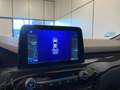 Ford Kuga 1.5 EcoBoost ST-Line X FWD 150 Blanco - thumbnail 11