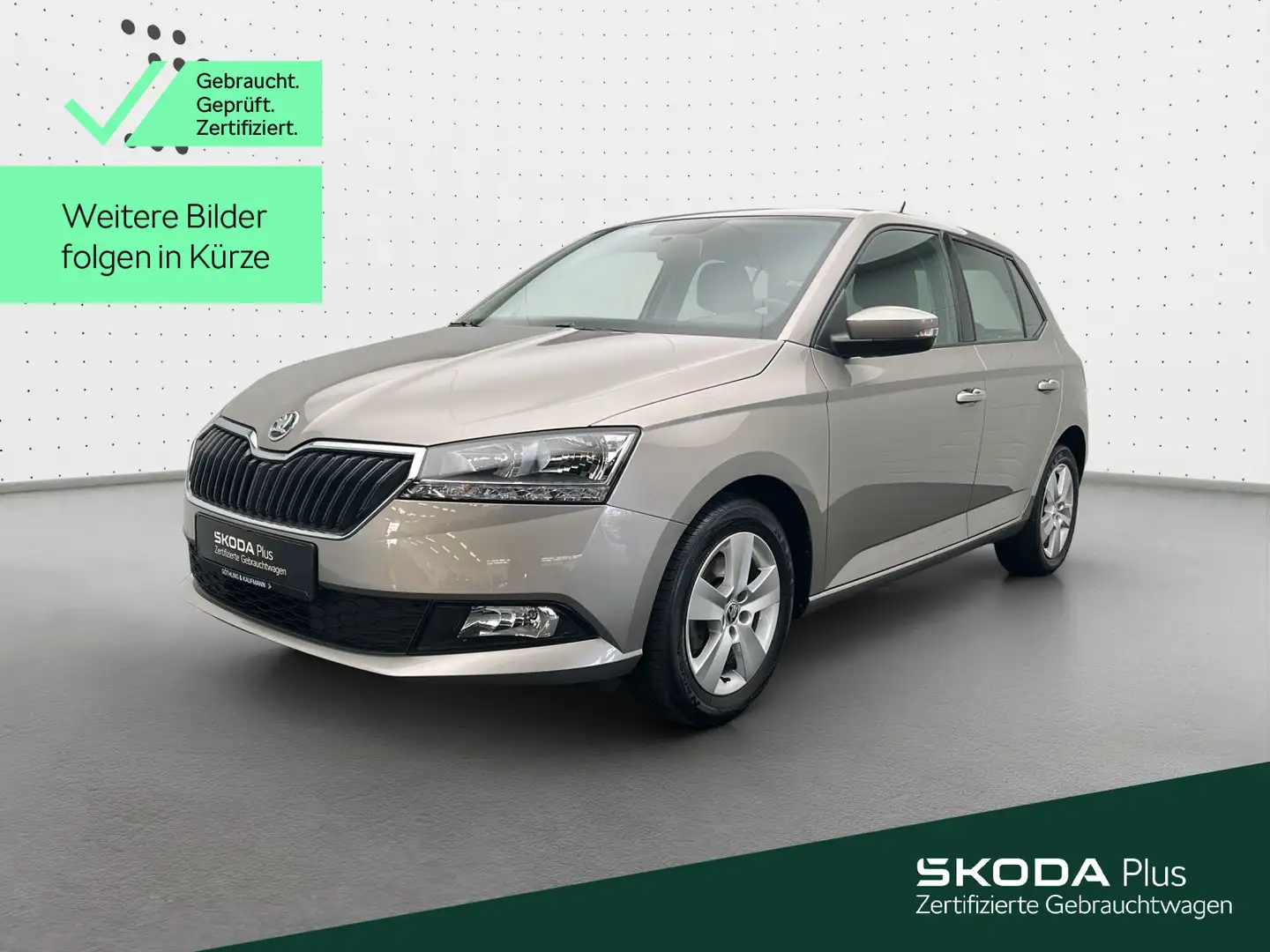 Skoda Fabia 1.0 TSI Ambition*Kamera*PDC*KLIMA*LED*SHZ* Beige - 1