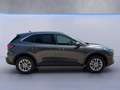 Ford Kuga Titanium X 1.5l EcoBoost *iACC*LED*KLIMA* Grau - thumbnail 7