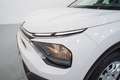 Citroen C4 1.5 BlueHDI S&S Live Pack 110 Bianco - thumbnail 10