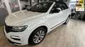 Volkswagen T-Roc Cabriolet 1.5 TSI Style 150PK Wit - thumbnail 1