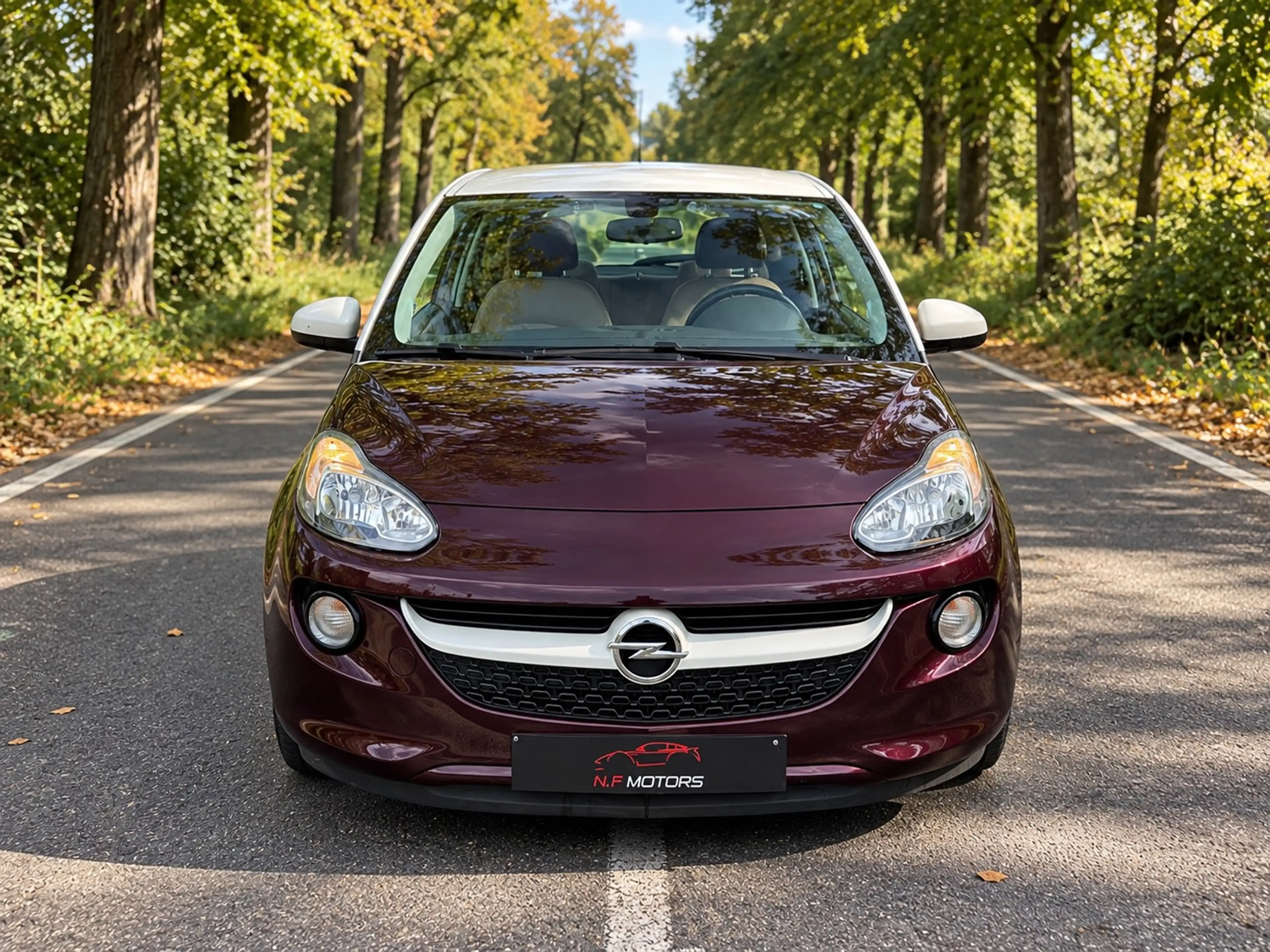 Opel Adam Édition spéciale✅ dans un état neuf ❗️ — photo 2