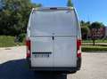Fiat Ducato MAXI Blanc - thumbnail 5