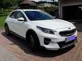 Kia XCeed KIA XCeed 1,6 GDI GPF Hybrid PHEV Gold DCT Aut Lim Weiß - thumbnail 6