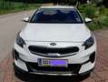Kia XCeed KIA XCeed 1,6 GDI GPF Hybrid PHEV Gold DCT Aut Lim Weiß - thumbnail 5