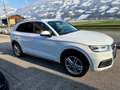 Audi Q5 2.0 TDI quattro Sport s-tronic Matrix 1. Besitz Weiß - thumbnail 15