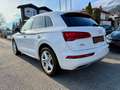 Audi Q5 2.0 TDI quattro Sport s-tronic Matrix 1. Besitz Weiß - thumbnail 9