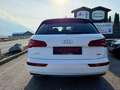 Audi Q5 2.0 TDI quattro Sport s-tronic Matrix 1. Besitz Weiß - thumbnail 11