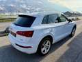 Audi Q5 2.0 TDI quattro Sport s-tronic Matrix 1. Besitz Weiß - thumbnail 13