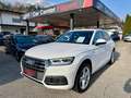 Audi Q5 2.0 TDI quattro Sport s-tronic Matrix 1. Besitz Weiß - thumbnail 1