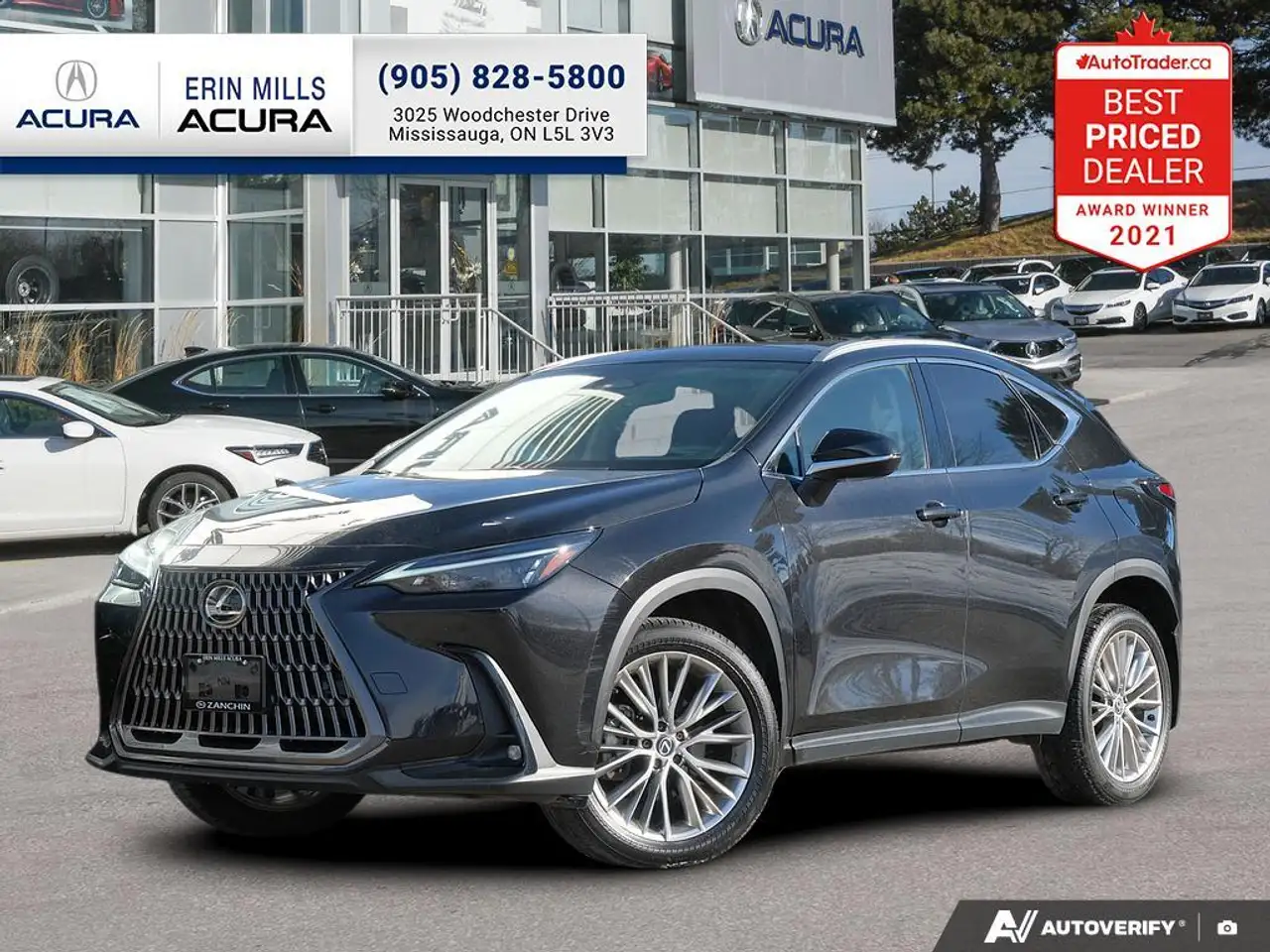 2024 Lexus NX
