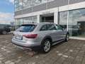 Audi A4 allroad 40 TDI 204cv S tronic quattro Pelle FariLED Navi Grey - thumbnail 7