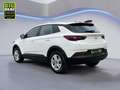 Opel Grandland 1.2 Turbo Kamera Parkpilot DAB+ Weiß - thumbnail 5