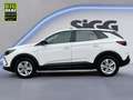 Opel Grandland 1.2 Turbo Kamera Parkpilot DAB+ Weiß - thumbnail 3