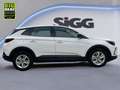 Opel Grandland 1.2 Turbo Kamera Parkpilot DAB+ Weiß - thumbnail 8