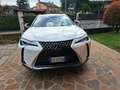 Lexus UX 250h 2.0+Urban+2wd+cvt Bianco - thumbnail 1