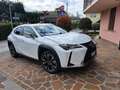 Lexus UX 250h 2.0+Urban+2wd+cvt Bianco - thumbnail 3