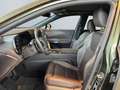 Lexus RX 450h + Luxury Line *Leder*Pano*HUD*360°*4xSHZ* Grün - thumbnail 9
