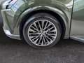 Lexus RX 450h + Luxury Line *Leder*Pano*HUD*360°*4xSHZ* Grün - thumbnail 22