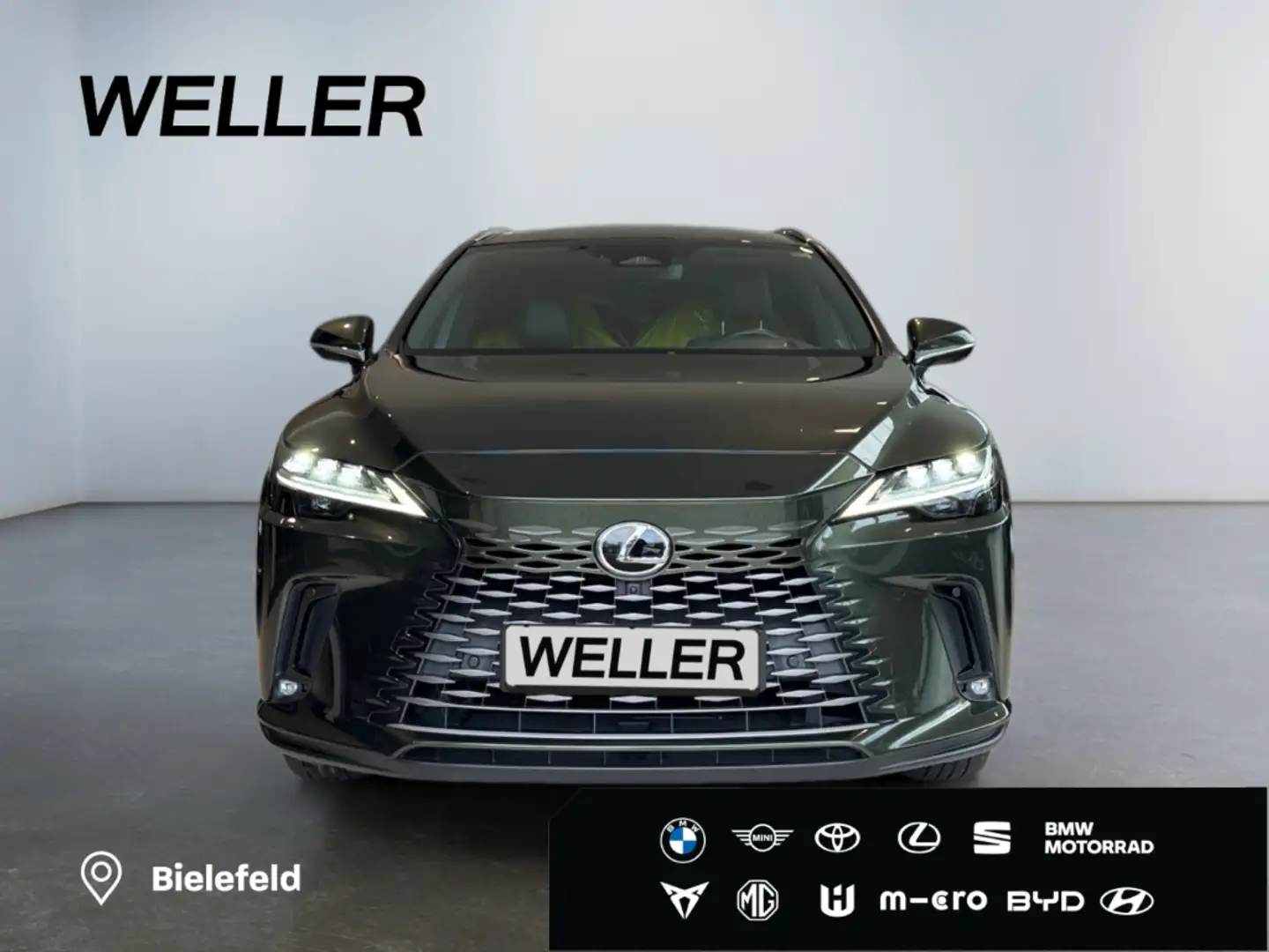 Lexus RX 450h + Luxury Line *Leder*Pano*HUD*360°*4xSHZ* Grün - 2