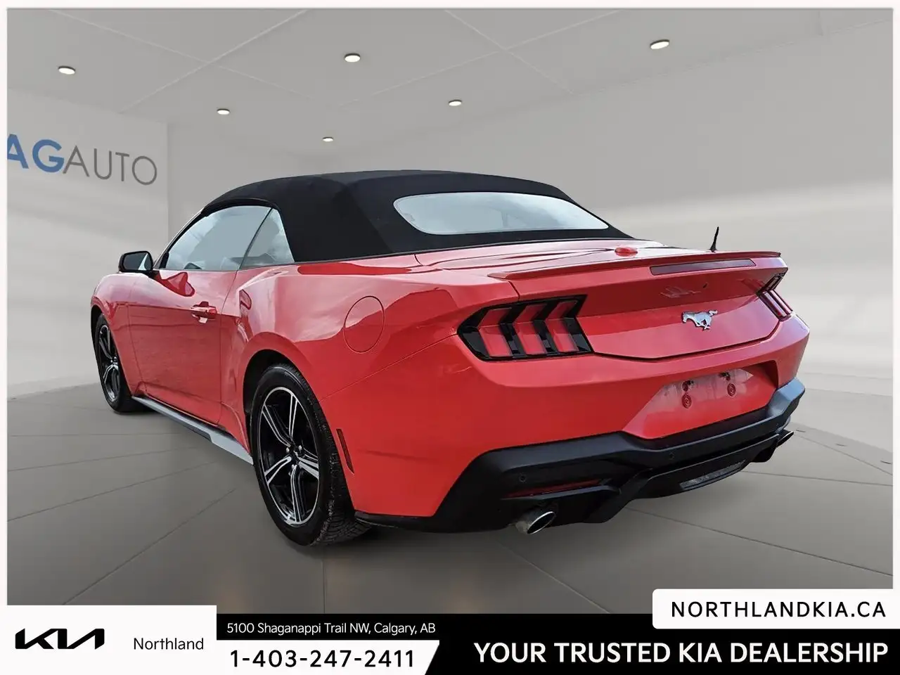 Ford Mustang fotografie Ford Mustang