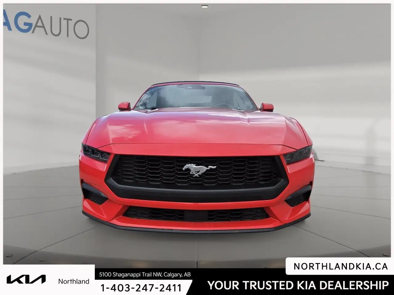Ford Mustang fotografie Ford Mustang