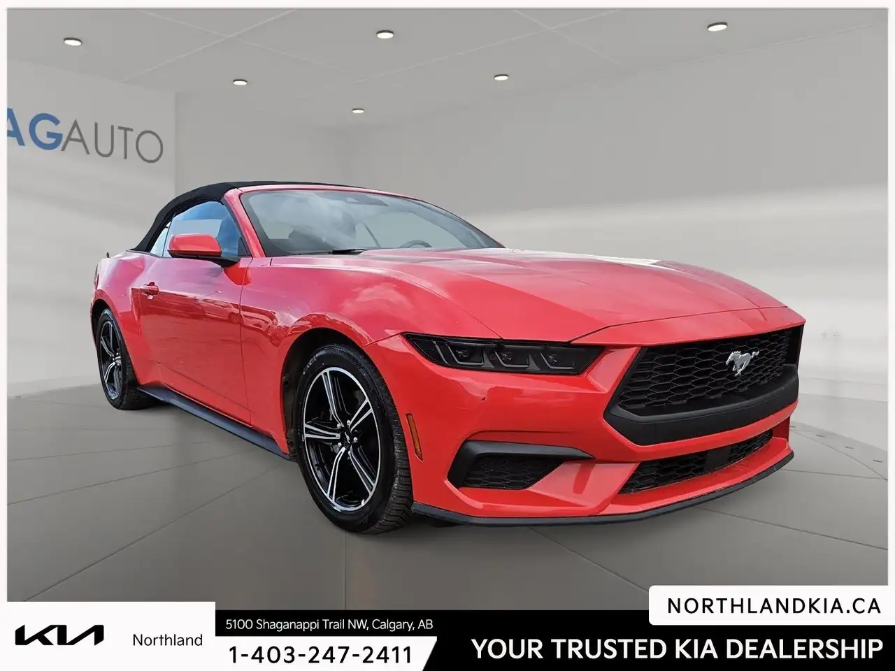 Ford Mustang fotografie Ford Mustang